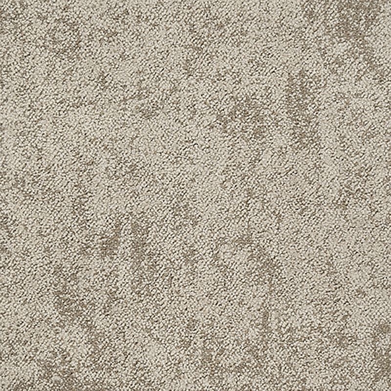 タピス　スグラフィート