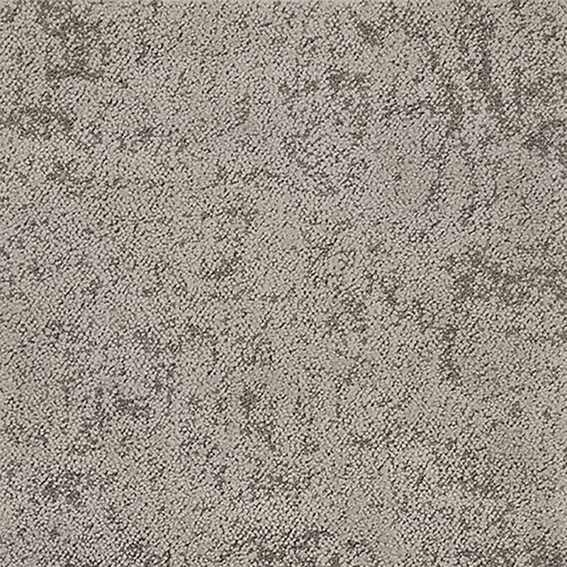 タピス　スグラフィート