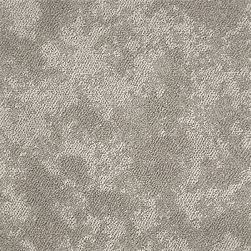 タピス　シープクラウド