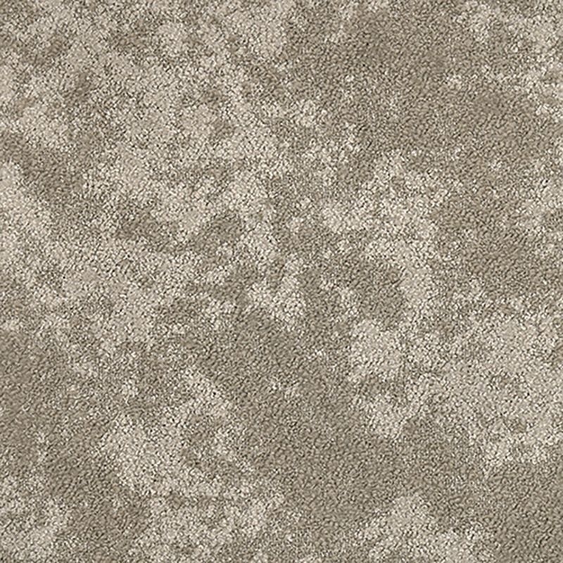 タピス　シープクラウド