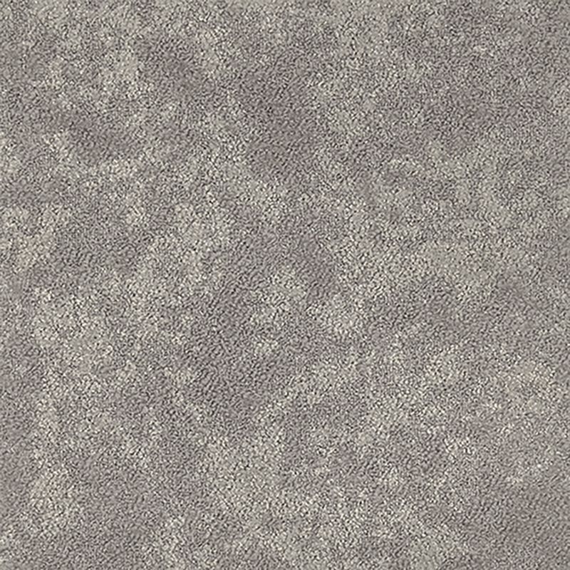 タピス　シープクラウド