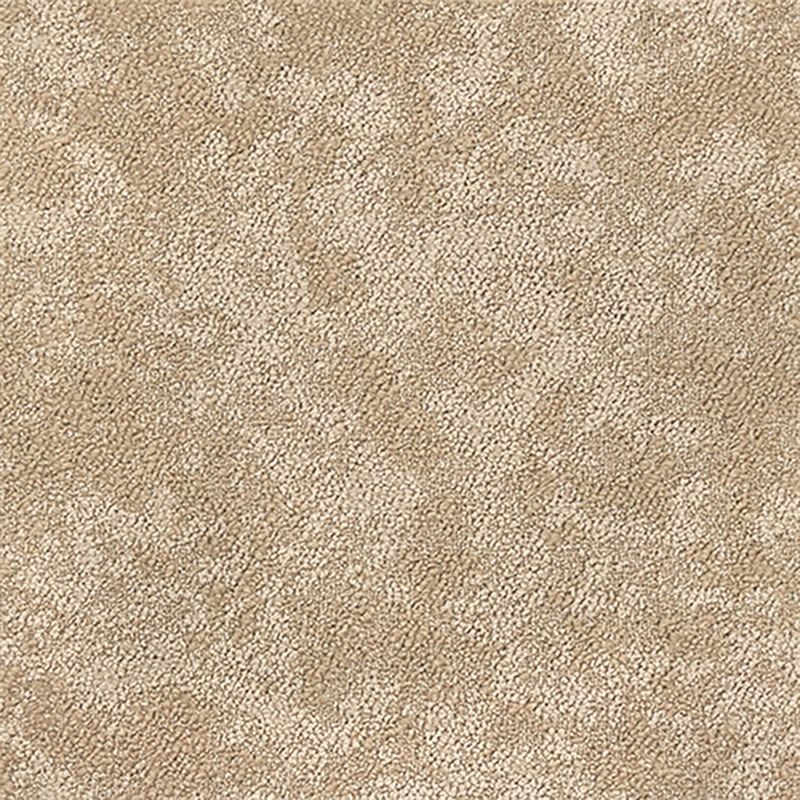 タピス　シープクラウド