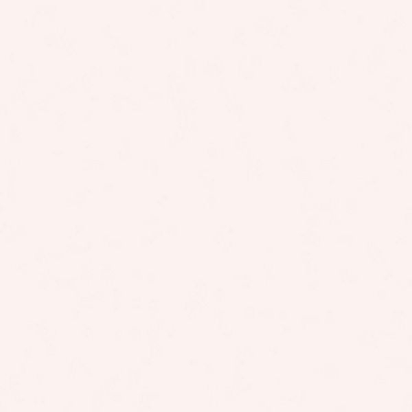 ステンド/♯400 - 80Aピュアホワイト