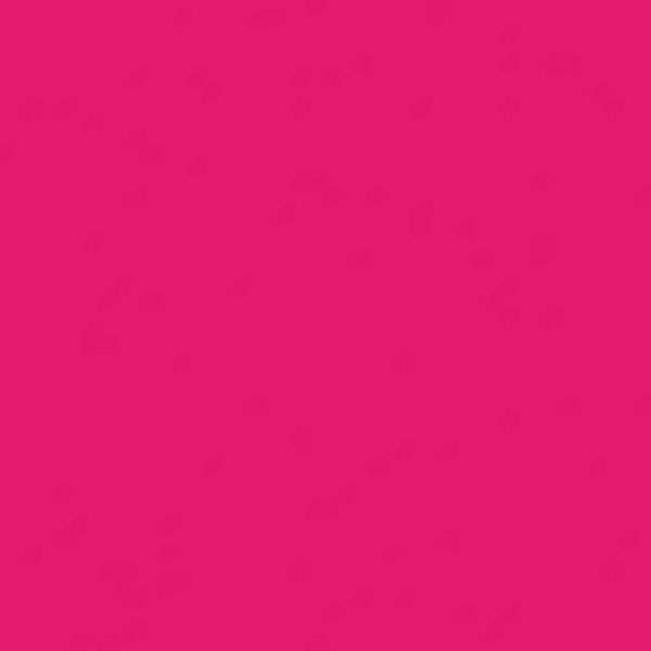 ステンド/♯400 - 74Eドラゴンフルーツ