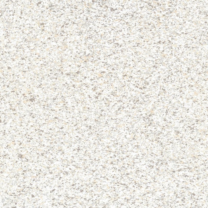 ニューアールダンテ - No.35