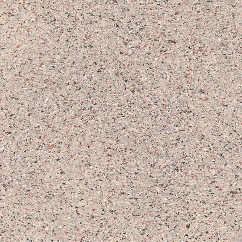 ニューアールダンテ - No.51