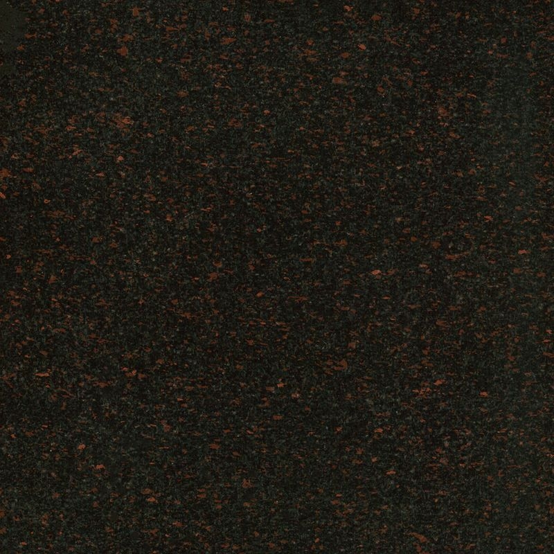 ニューアールダンテ - No.55