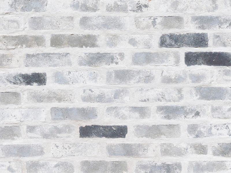 テキサスクレンショー(TX)