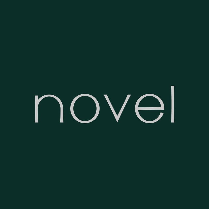 novel