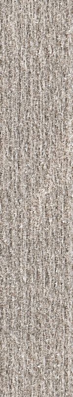 サムネイル 2