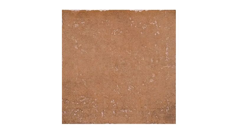 11月の新着マテリアル