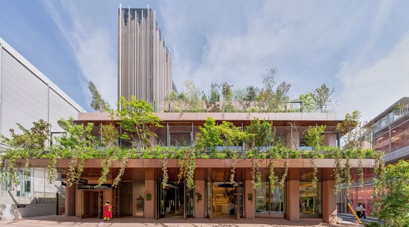 GREEN TERRACE 表参道