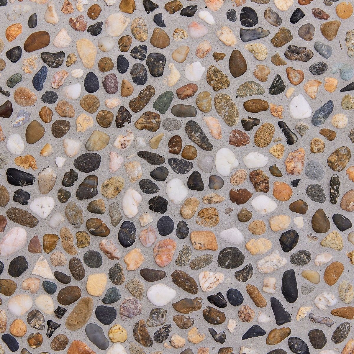 テクナチュール