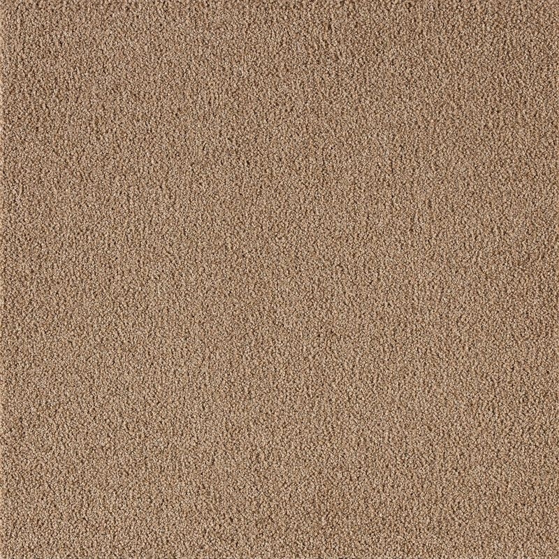 Carpet Concierge/バンジュール  BANJUL