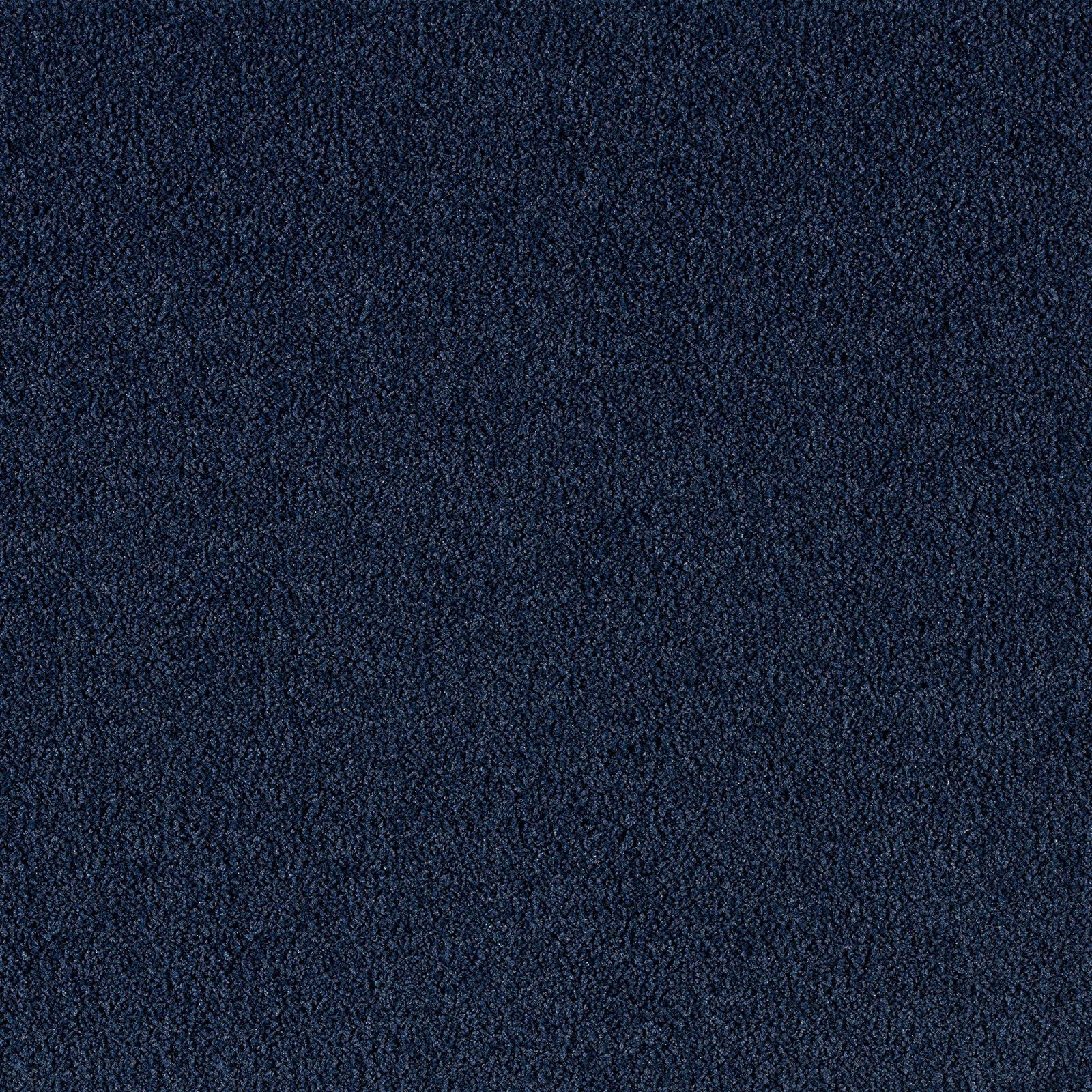 Carpet Concierge