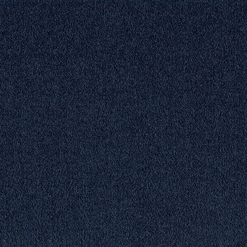 Carpet Concierge/ブルーフォリア  BLUEFOLHA