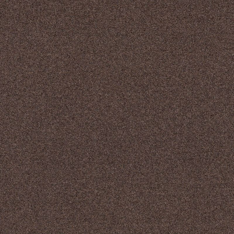 Carpet Concierge/エコロア100　ECOLOA100