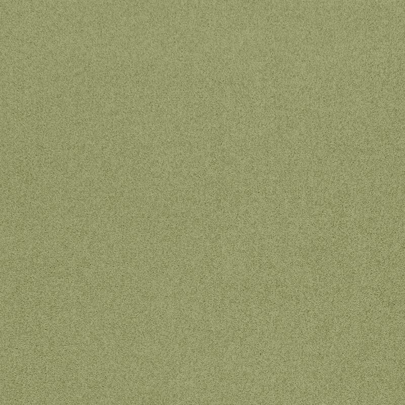 Carpet Concierge/エコロア100　ECOLOA100