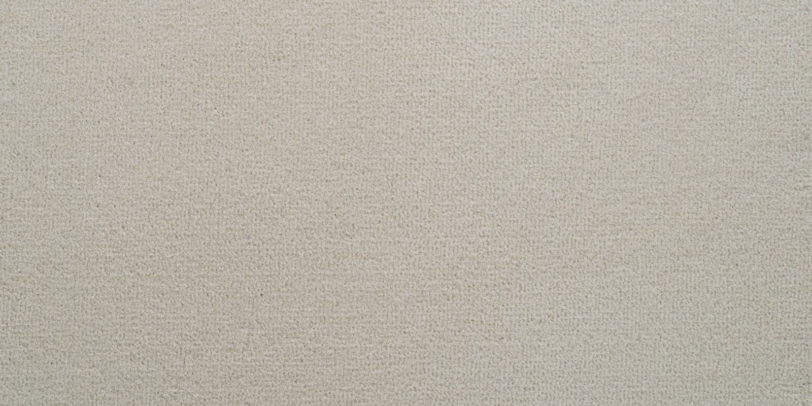 Carpet Concierge