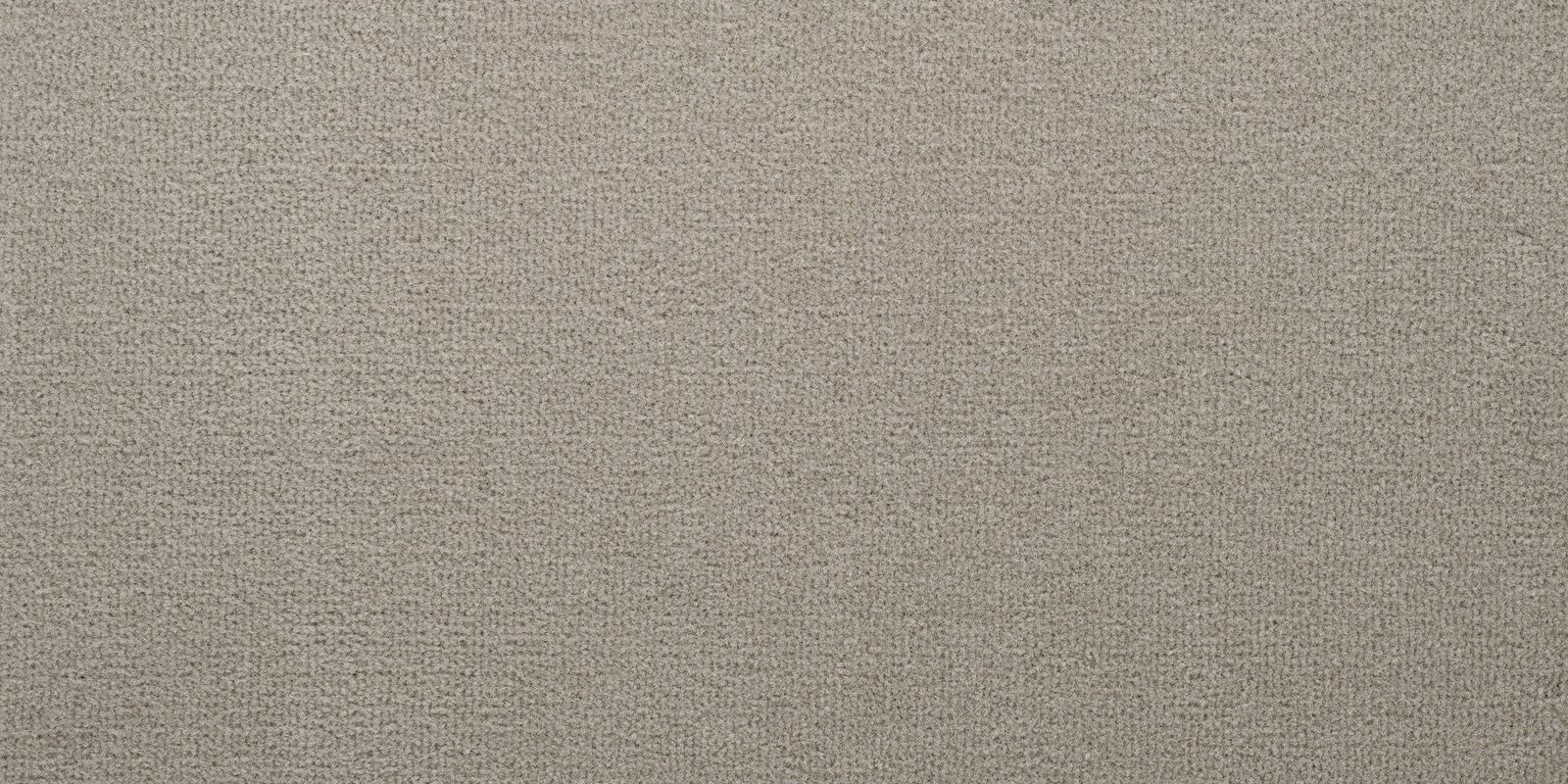 Carpet Concierge