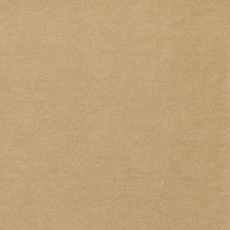 Carpet Concierge/ウールレックス　WOOL REX