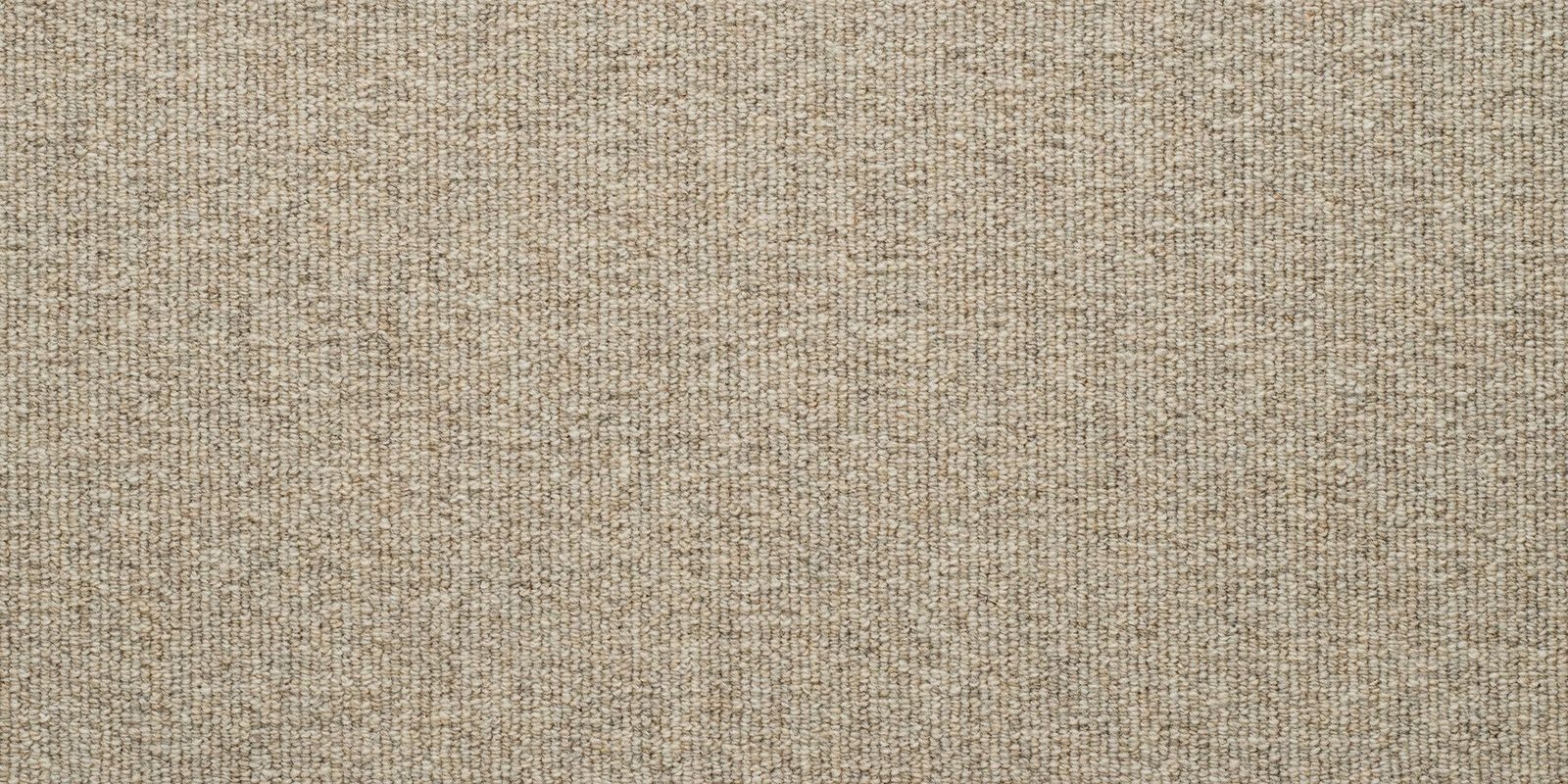 Carpet Concierge