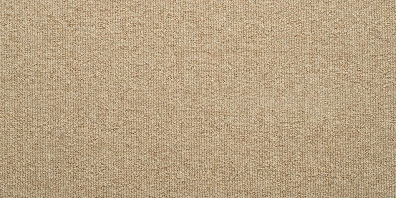 Carpet Concierge/ウールスコット プレーン　WOOL SCOT PLAIN