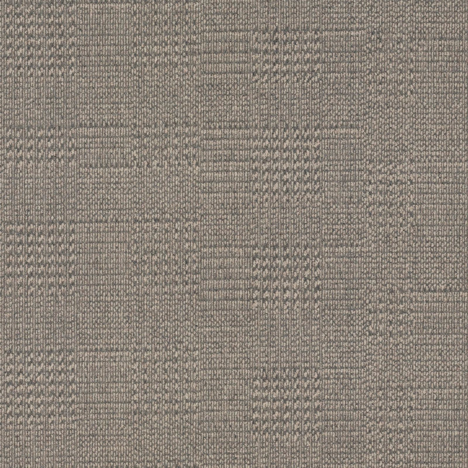 Carpet Concierge