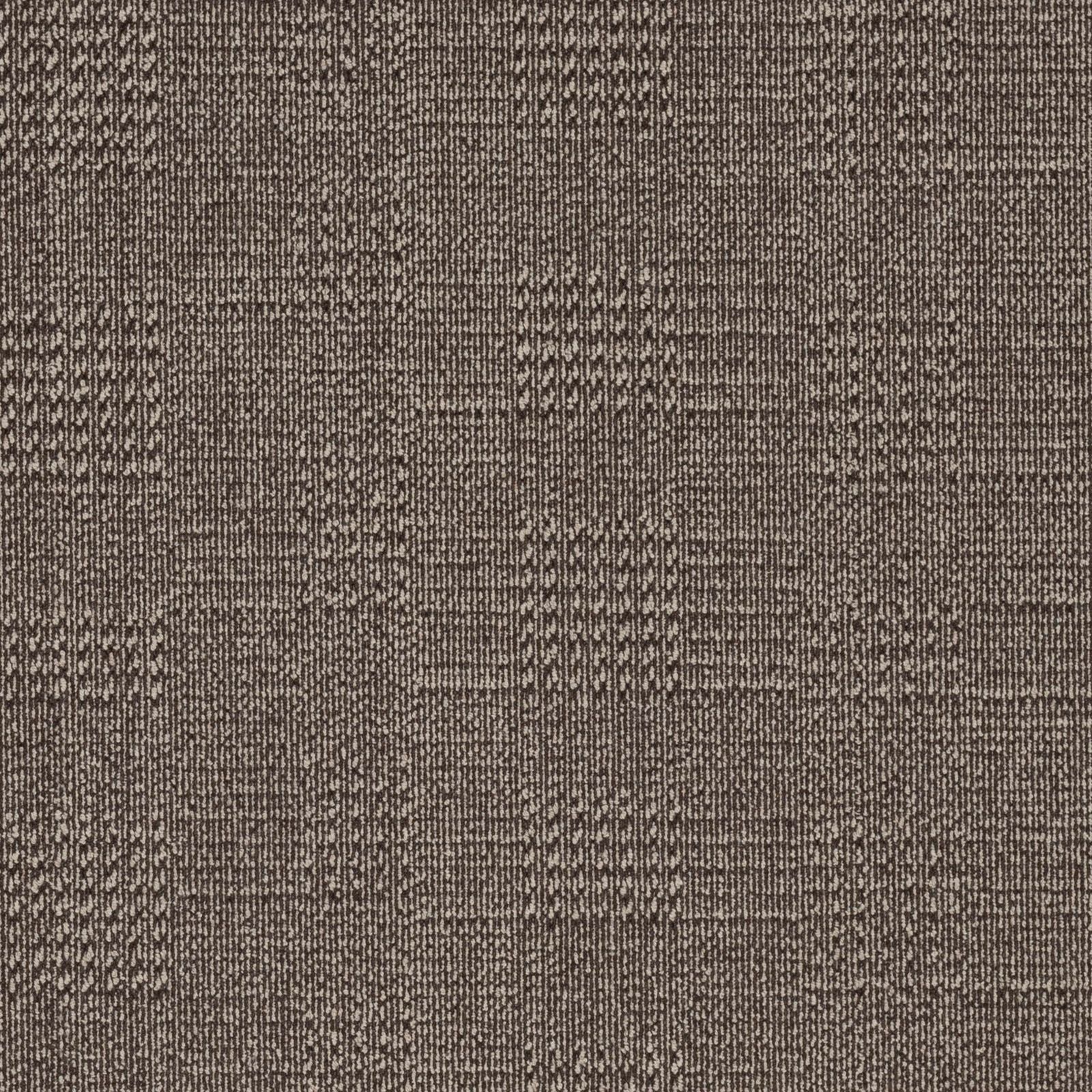 Carpet Concierge