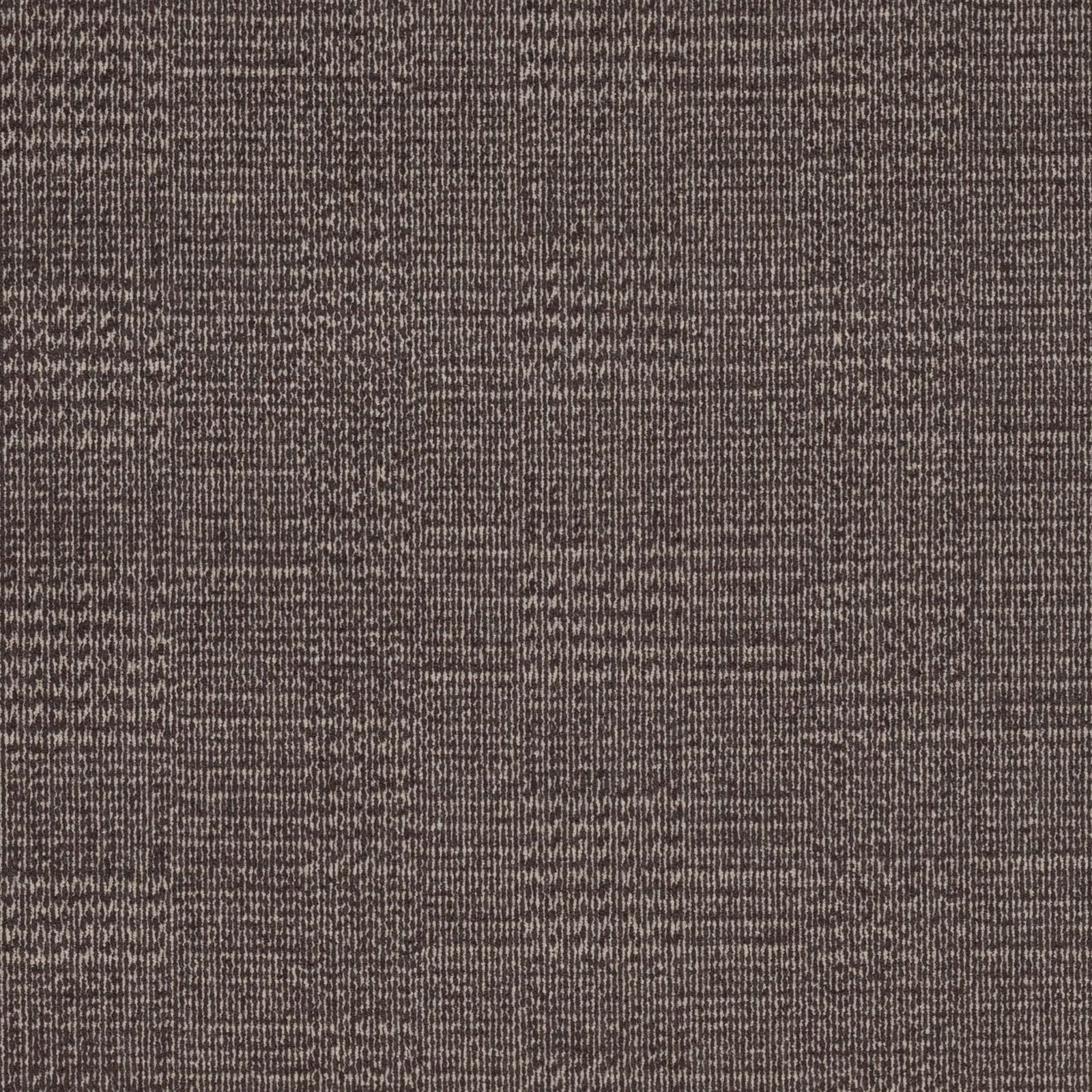 Carpet Concierge