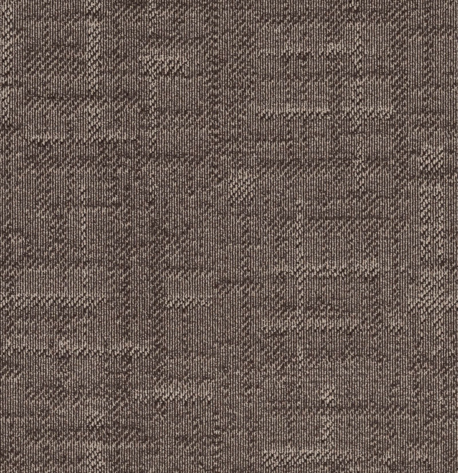 Carpet Concierge