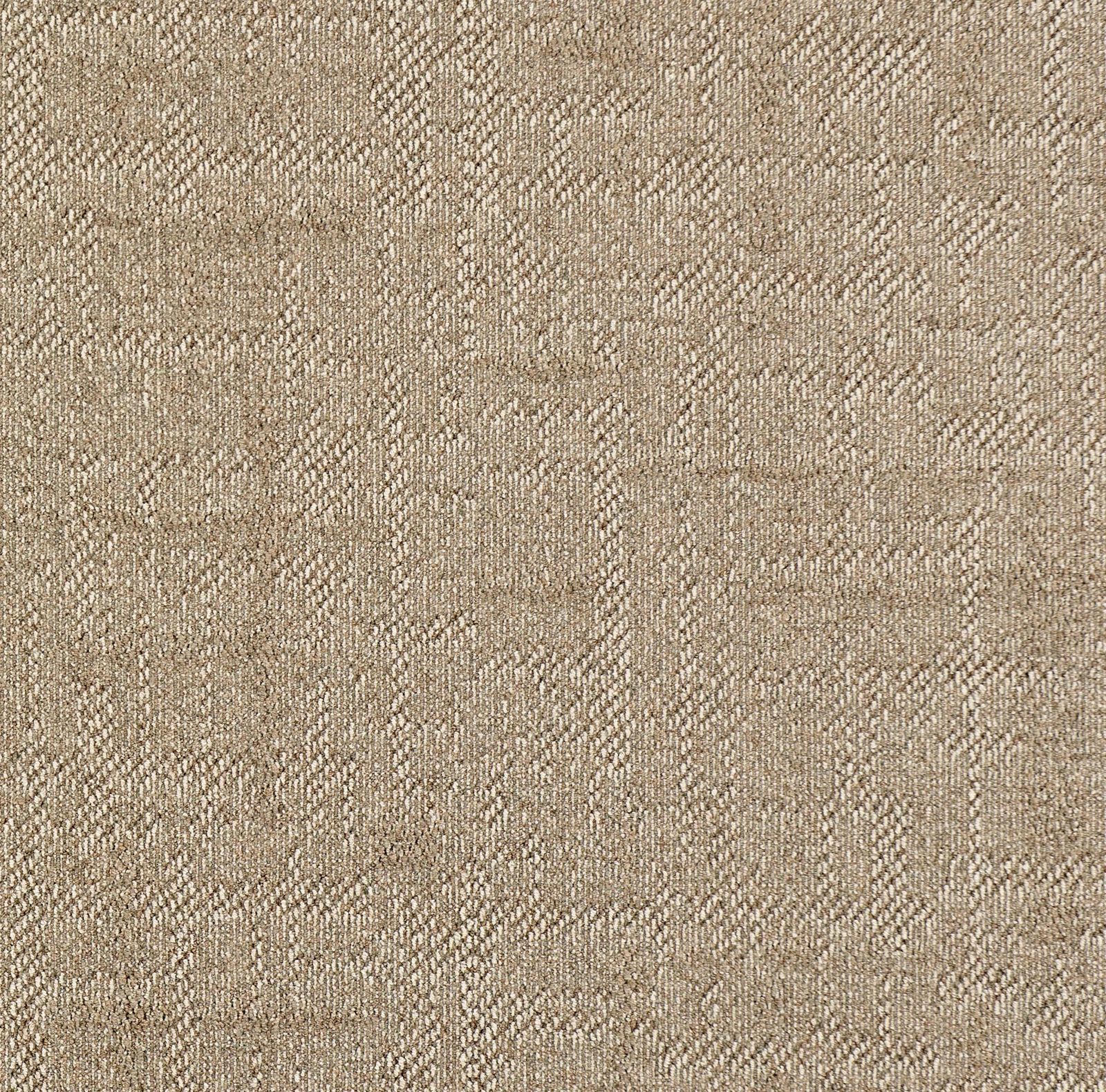 Carpet Concierge