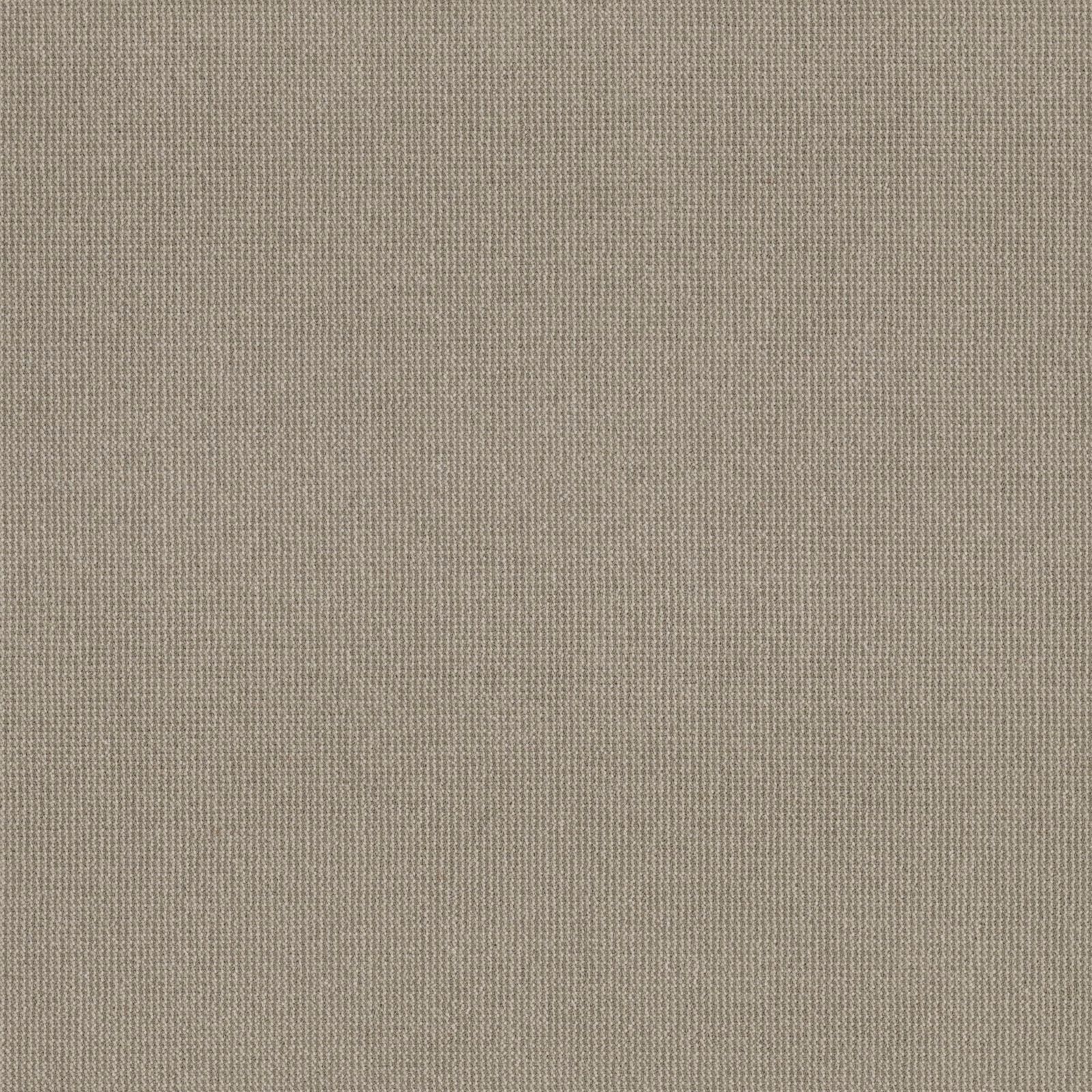 Carpet Concierge