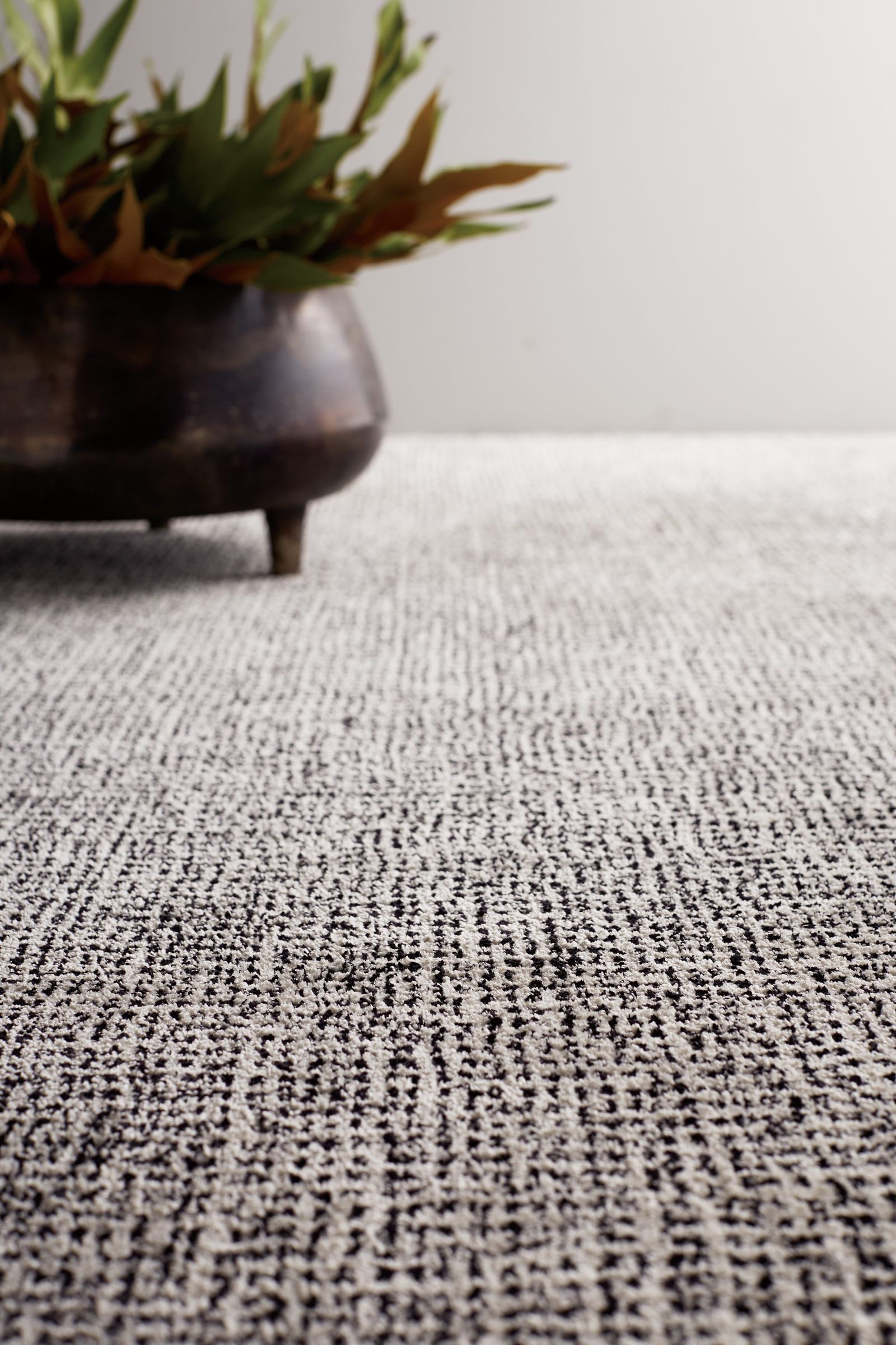 Carpet Concierge
