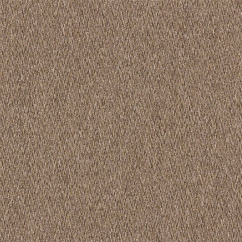 ECOS/LX-1900 RICH PLAIN