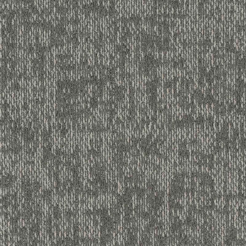 ECOS/LX-2500 CREVICE