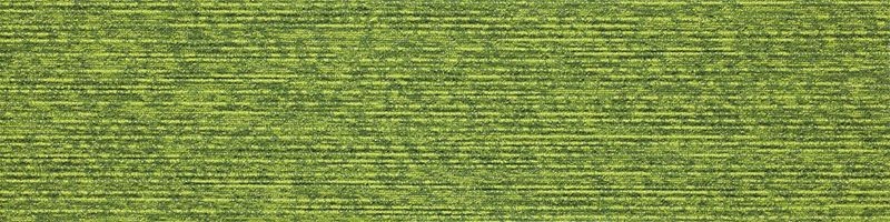 ECOS NEO/iD-1000EP PIGMENTS