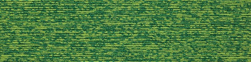 ECOS NEO/iD-1000EP PIGMENTS