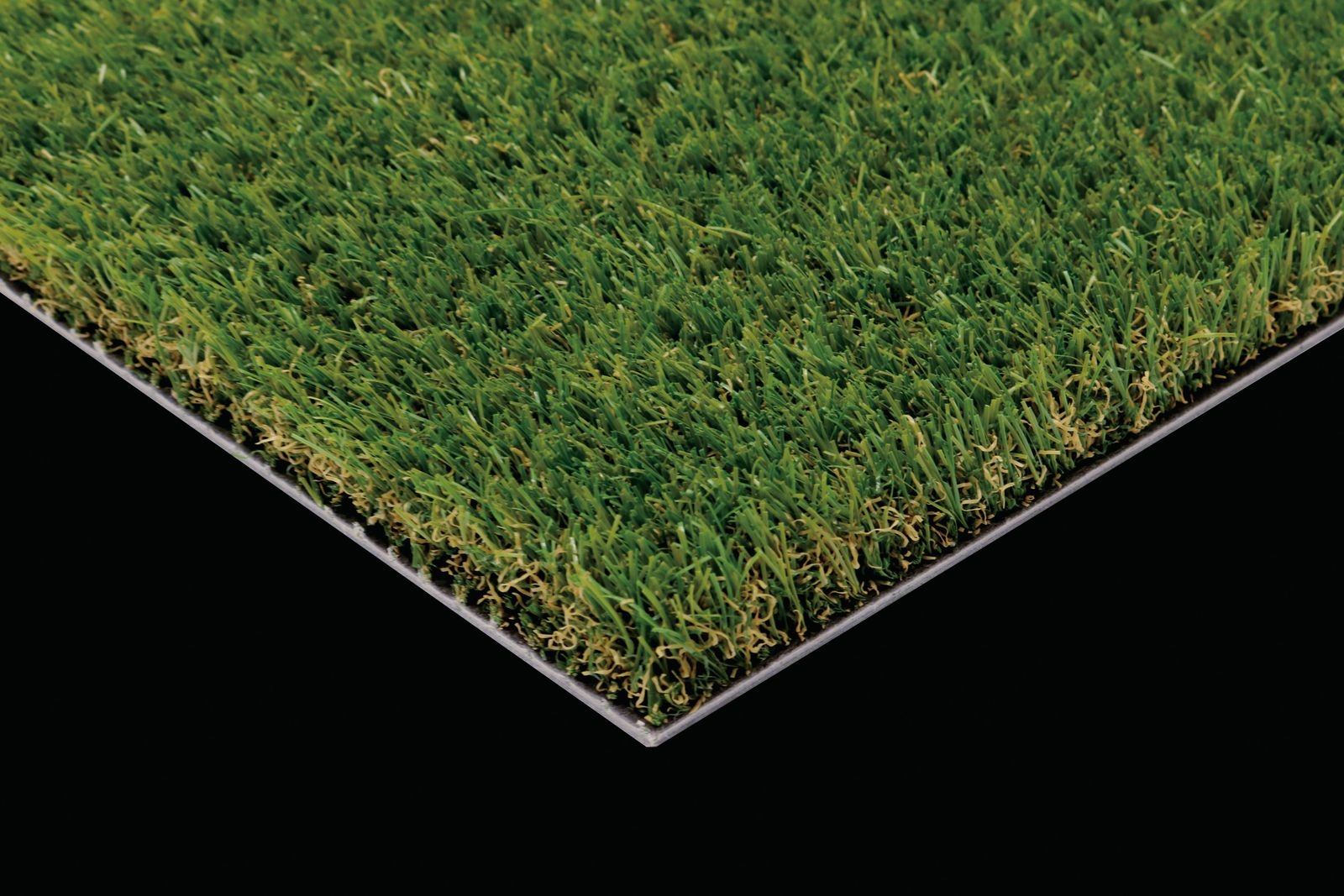 SHIBA