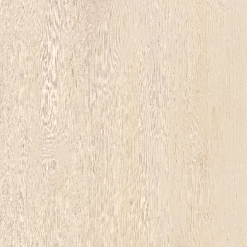 高意匠化粧板/イビボード　アッシュ/ワイズオーク - ワイズオーク/サンドベージュ