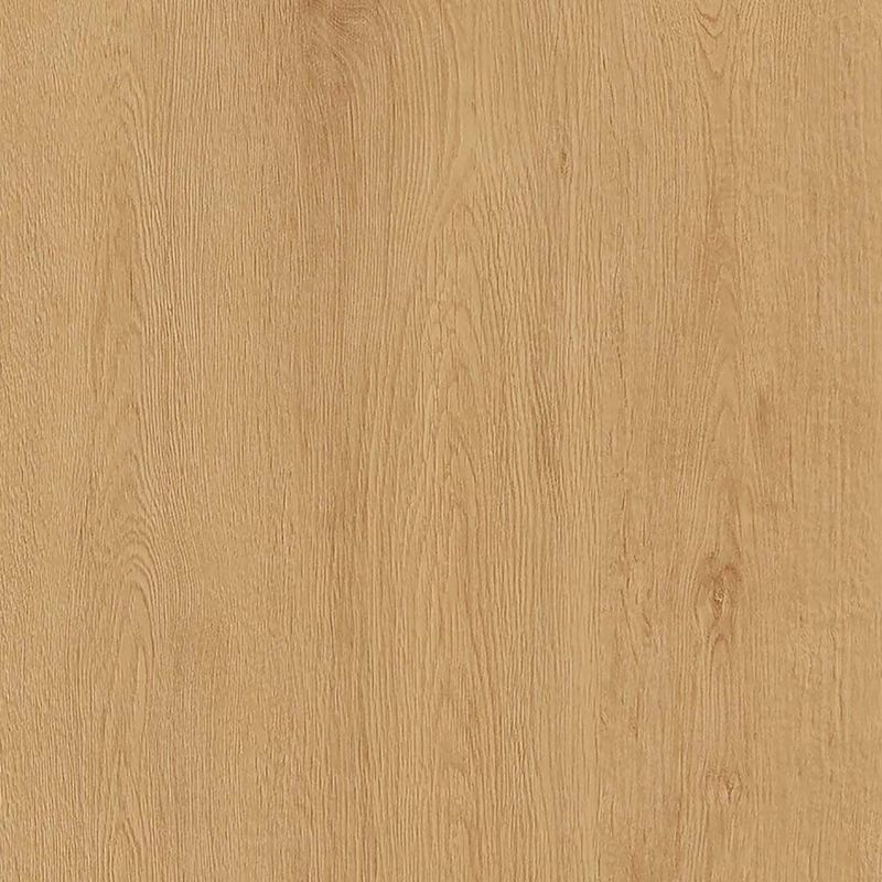 高意匠化粧板/イビボード　アッシュ/ワイズオーク - ワイズオーク/ナチュラル