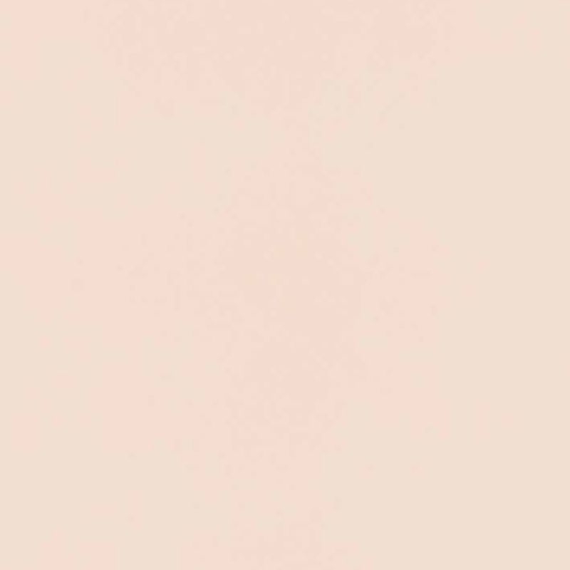 タフウォールS / 壁面化粧材 - SWN2526ZM