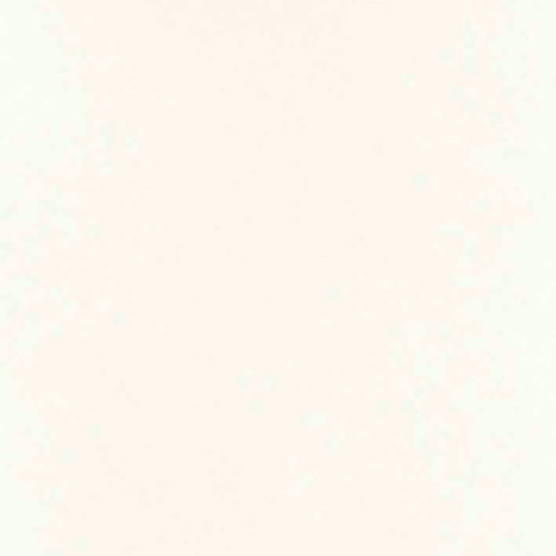 タフウォールS / 壁面化粧材 - SWN2530ZM