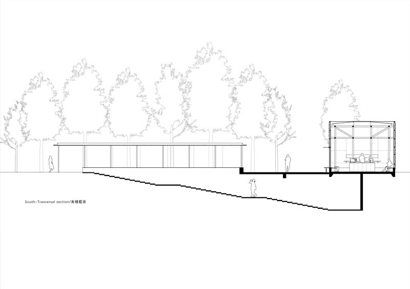 Topographic Section 南横截面