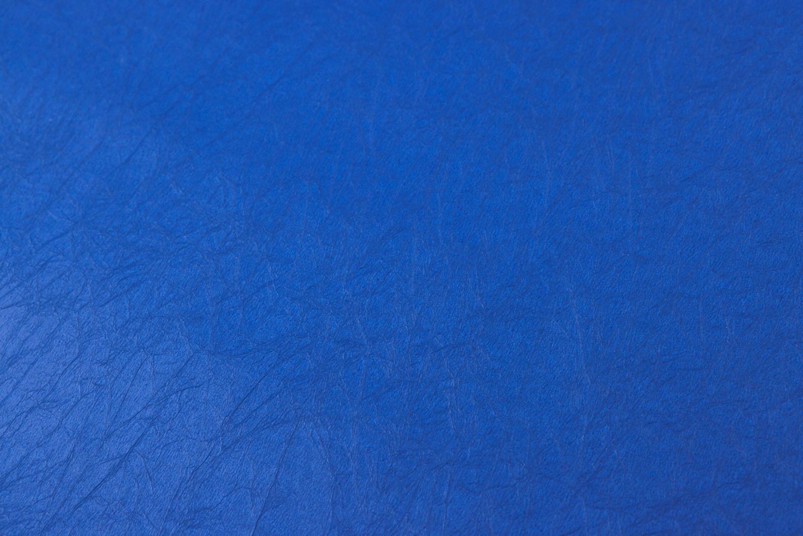 Momi Standard blue
