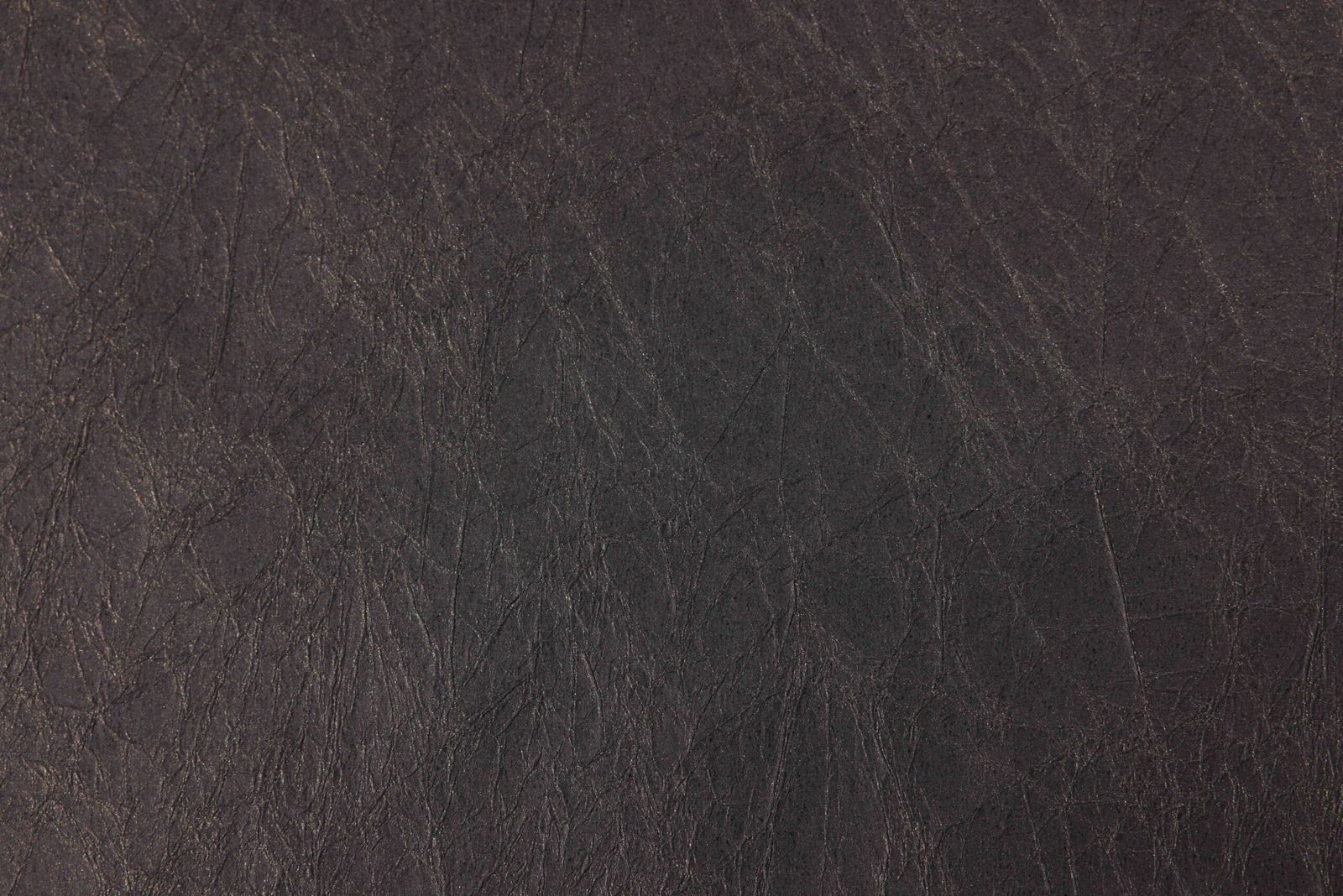Momi Standard black