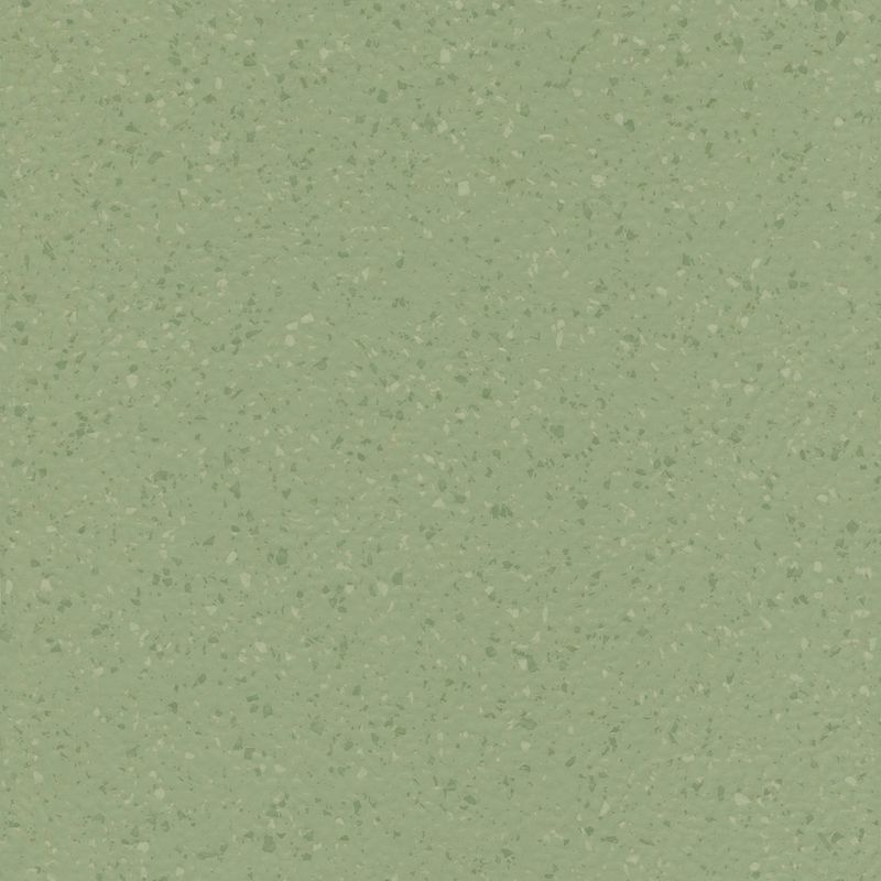 ノラメント - 5270