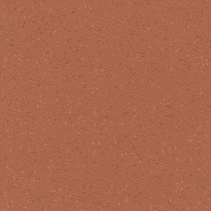 ノラメント - 5271