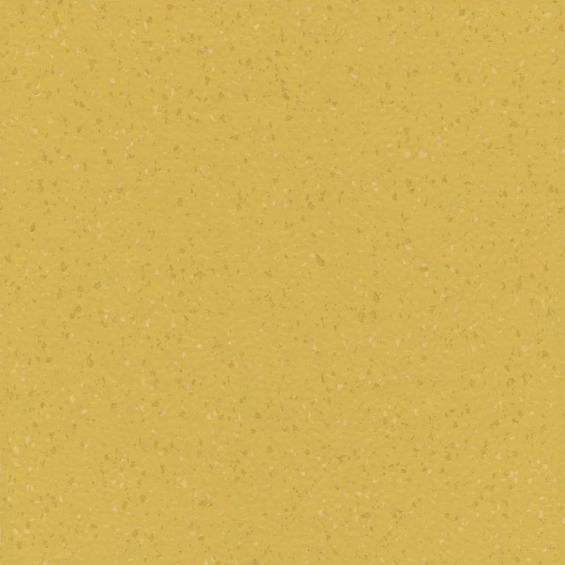 ノラメント - 5272