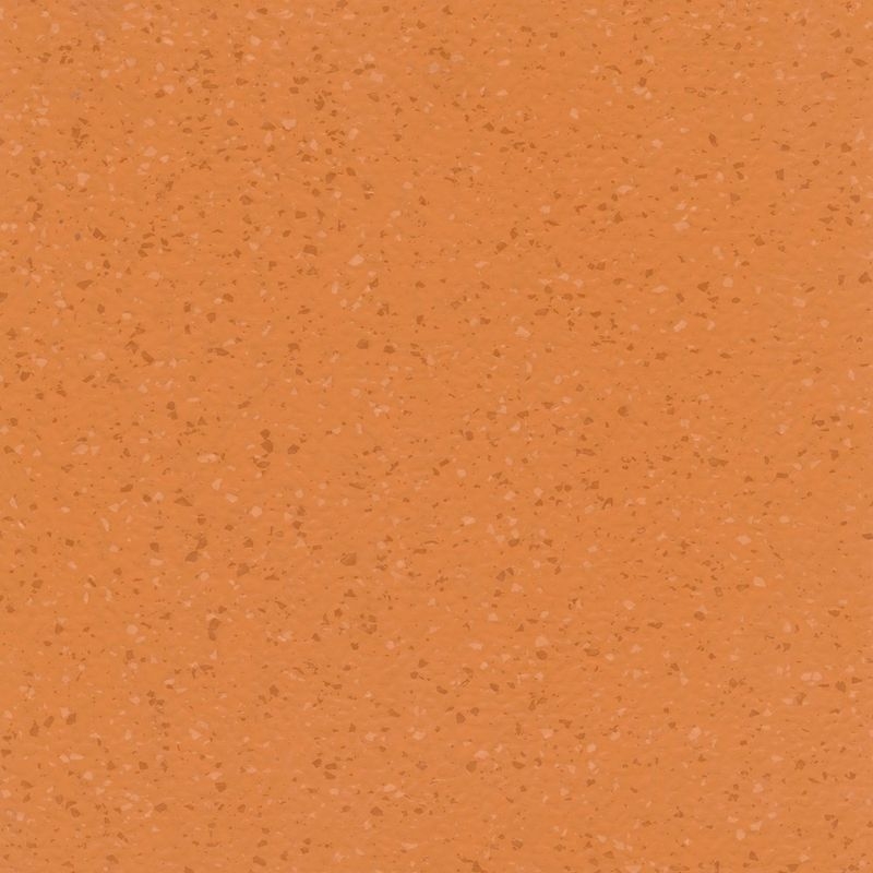 ノラメント - 5274